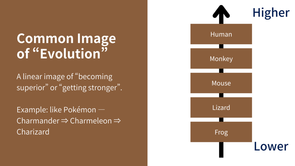 Common Image of Evolution