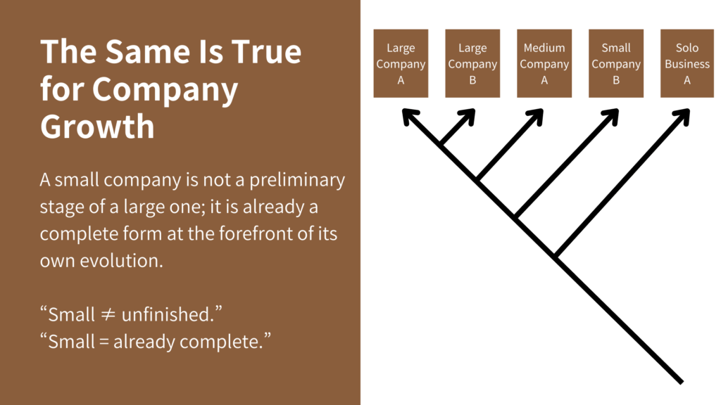 The Same Is True for Company Growth